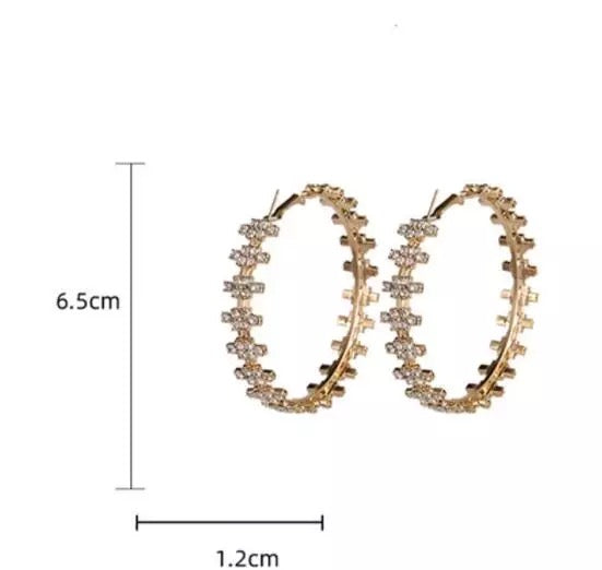Glamour earrings